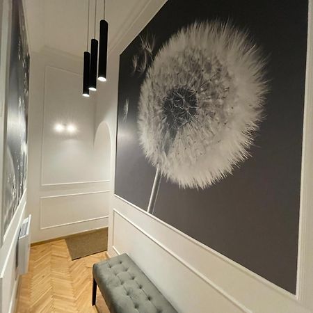 Flower Apartment Budapest Eksteriør billede